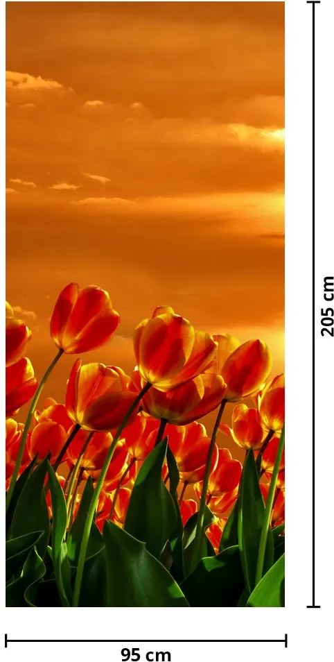 Fototapeta na dvere - Rozkvitnutý lán s tulipánmi (95x205cm)