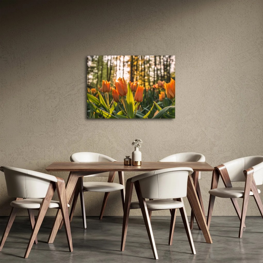 Obraz - kvety tulipánov (70x50 cm)