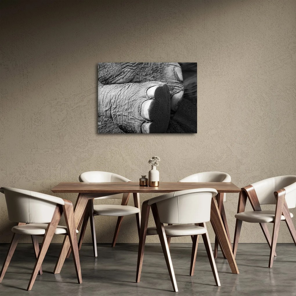 Obraz - Slonia noha (70x50 cm)