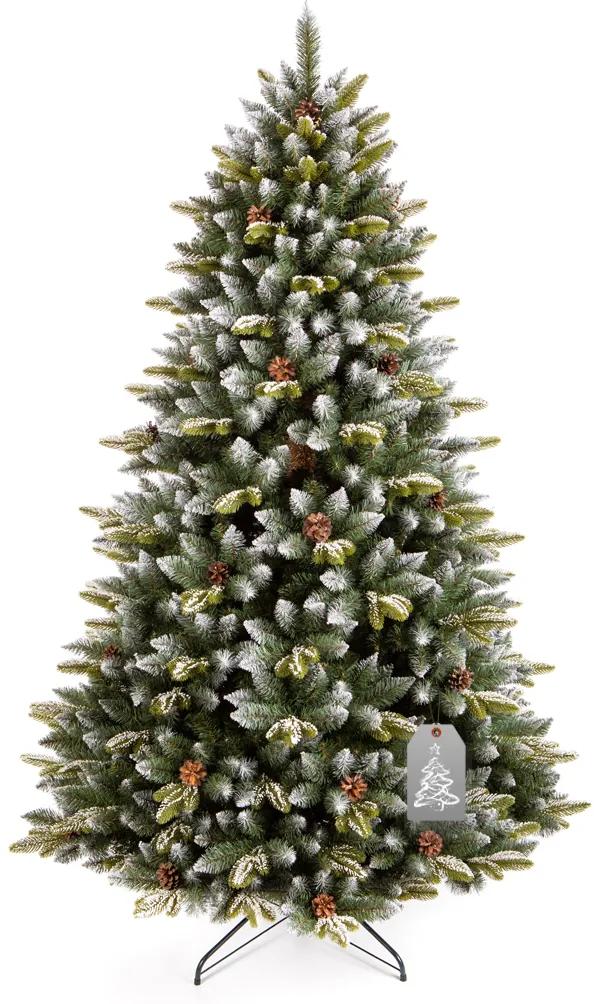 Vianočný stromček Smrek Pyrenejský 220 cm