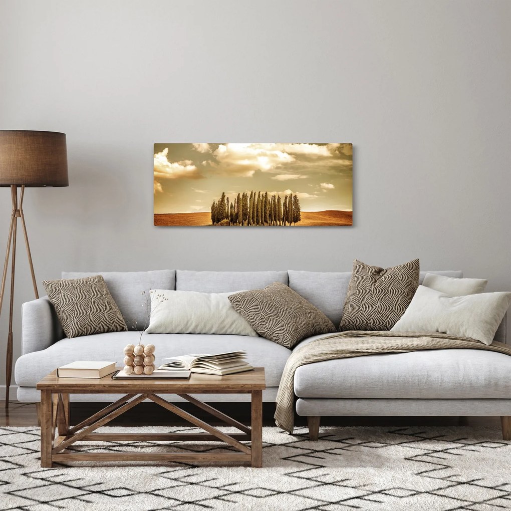 Obraz čistinky (120x50 cm)
