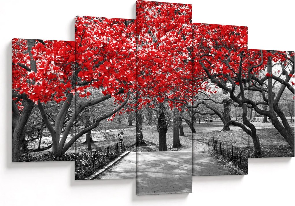 Obraz - Červené stromy, Central Park, New York (150x105 cm)