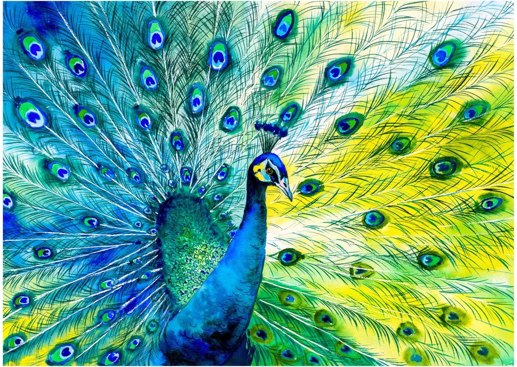 Sklenený obraz páva (70x50 cm)