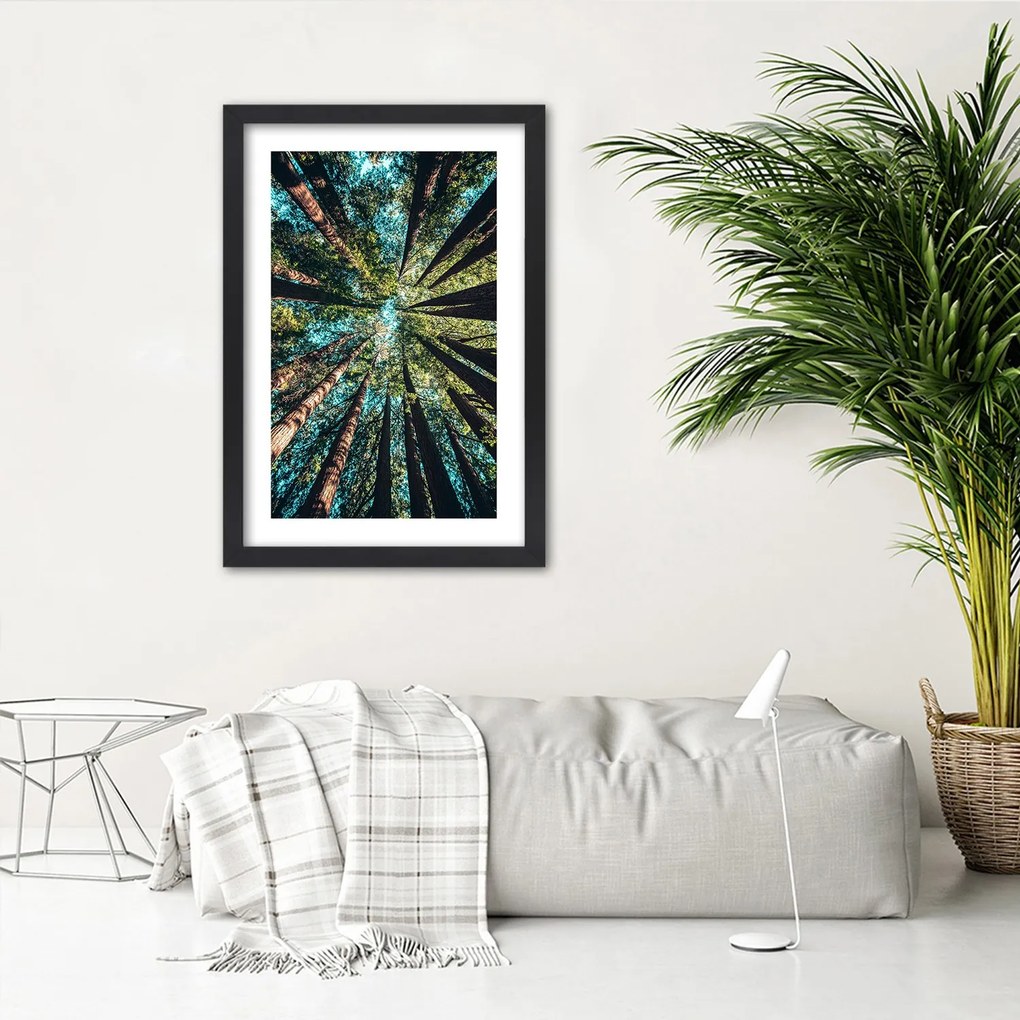 Gario Plagát Konáre vysokých stromov Farba rámu: Bez rámu, Rozmery: 40 x 60 cm