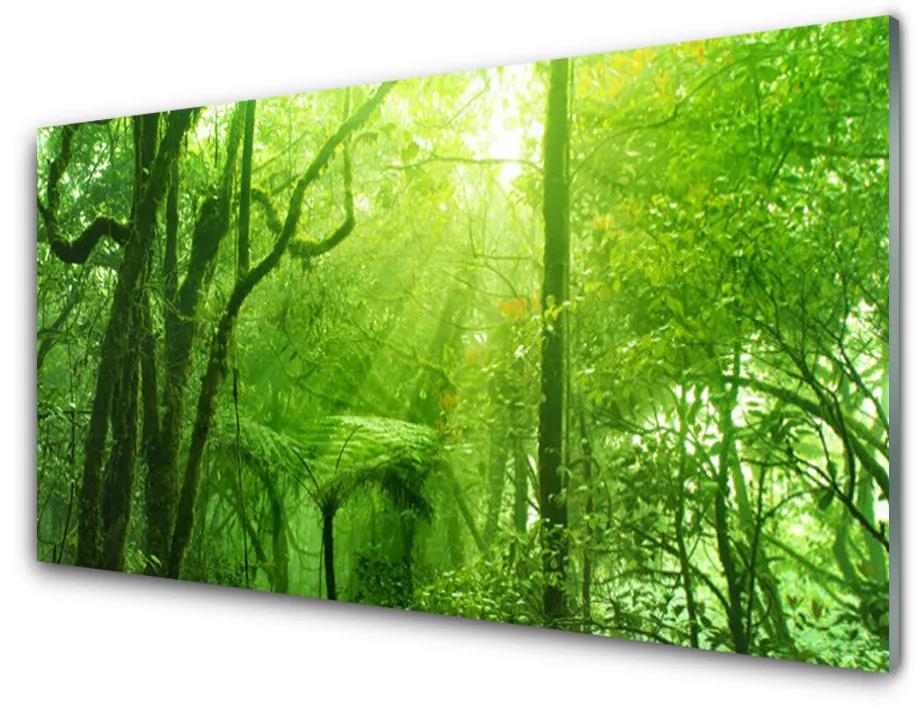 Obraz na skle Stromy príroda 120x60 cm