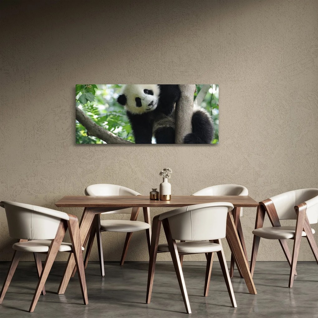 Obraz - Panda na strome (120x50 cm)