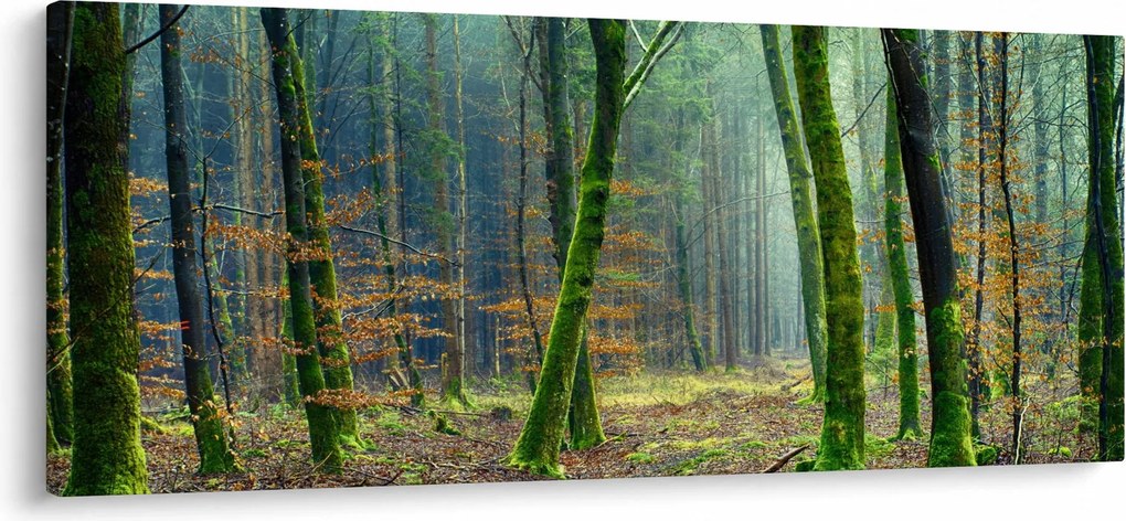 Obraz lesa (120x50 cm)