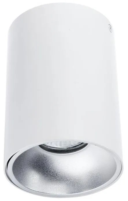 Bodové svietidlo TUBA 1xGU10/50W/230V biela