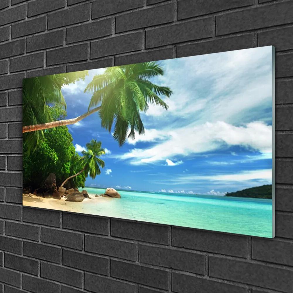 Skleneny obraz Palma pláž more krajina 100x50 cm