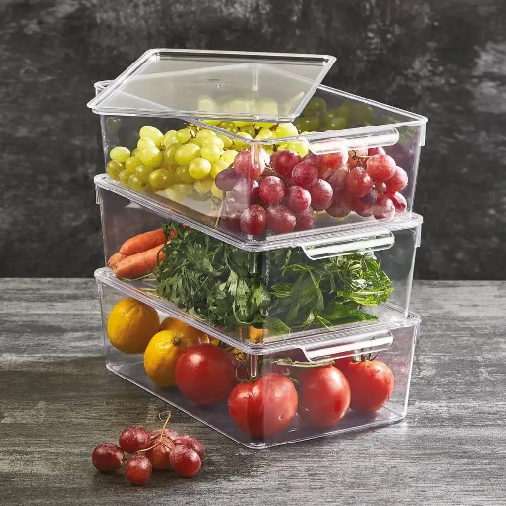 Orion Organizér do chladničky s vekom, 32 x 20 x 10 cm UROVNEJTO