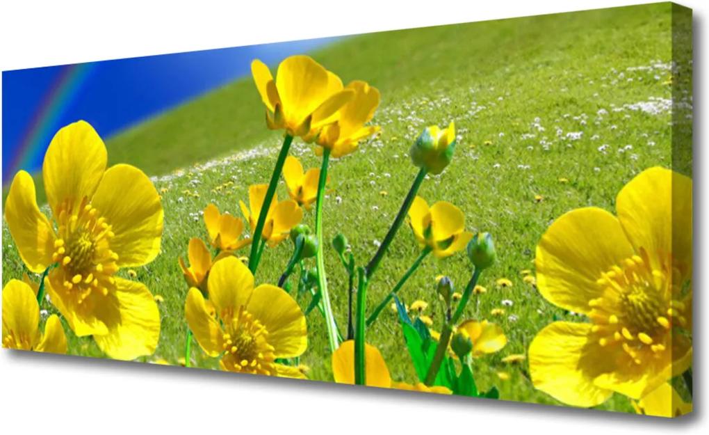 Obraz na plátně Lúka Kvety Dúha Príroda