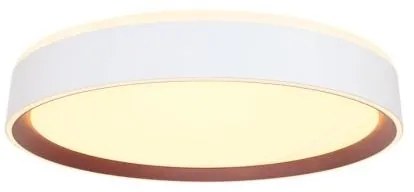 LED Stmievateľné stropné svietidlo s hlasovým ovládaním OPAL LED/48W/230V + DO