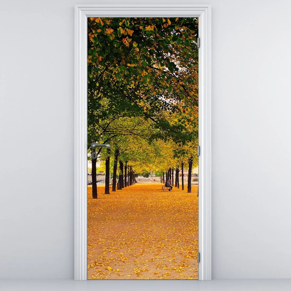 Fototapeta na dvere - Aleje jesenných stromov (95x205cm)