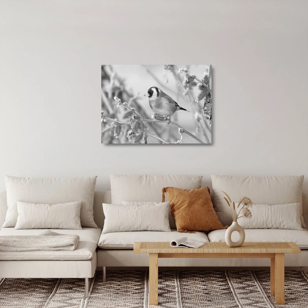 Sklenený obraz - Vtáčik v zime (70x50 cm)
