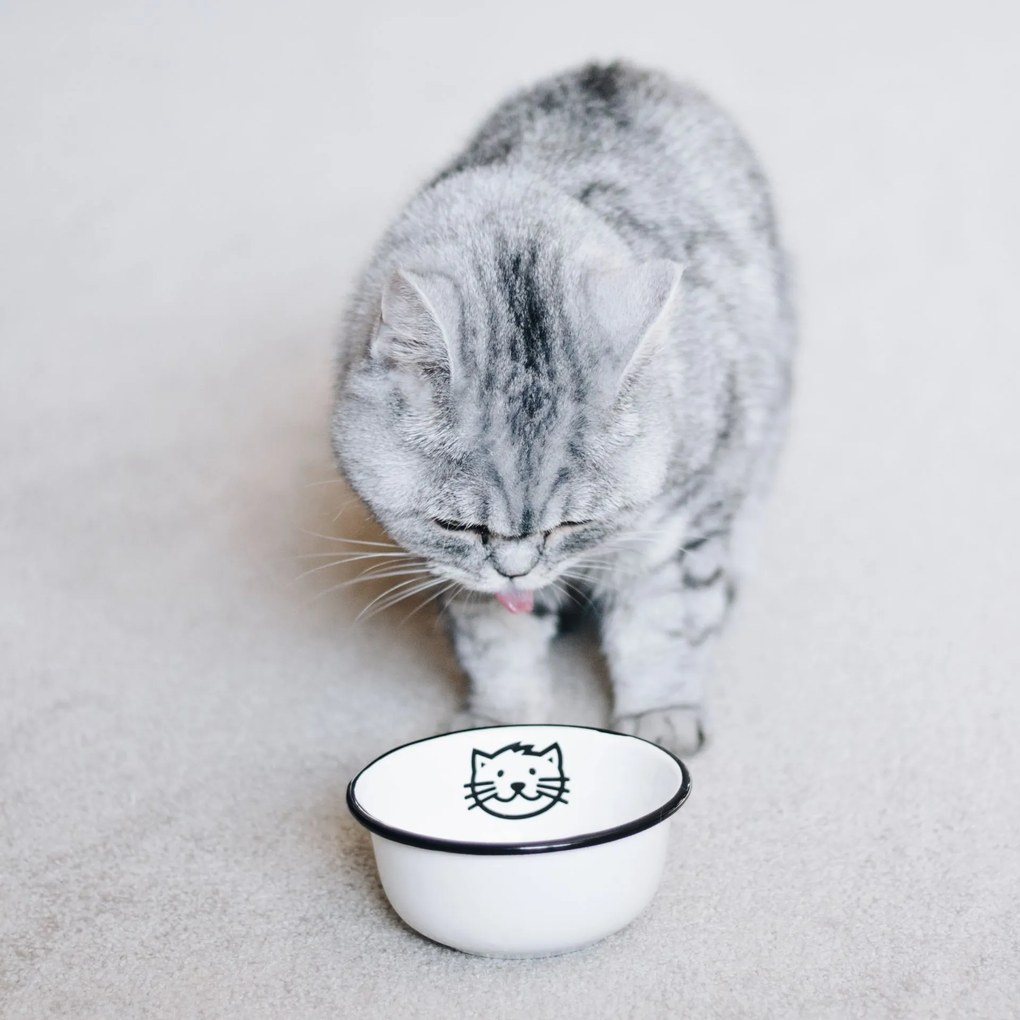Ib Laursen Menšia smaltovaná miska Cat