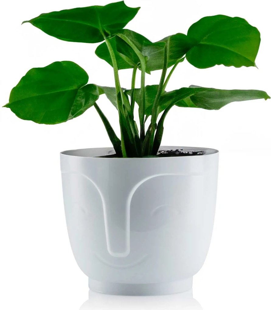 Sada 2 květináčů Zoe bílá