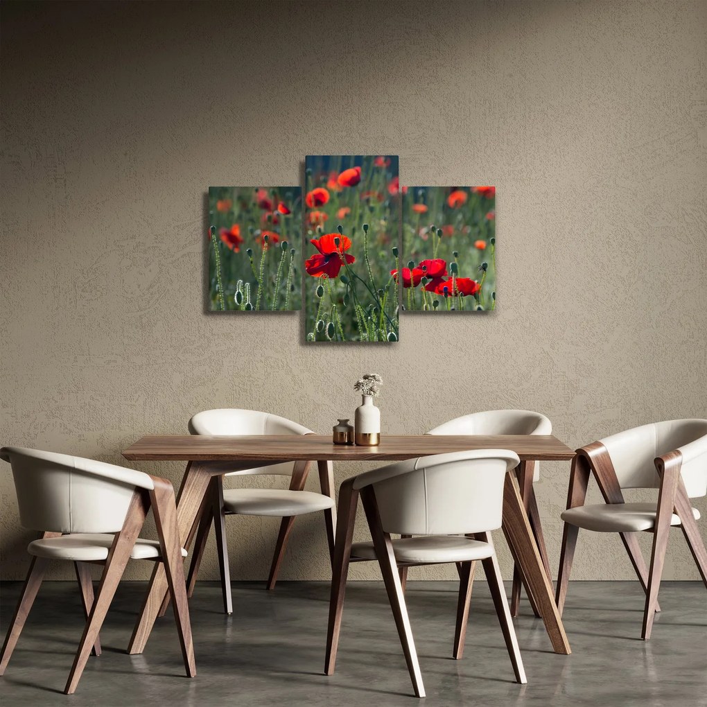 Obraz - Lúka s vlčími makmi (90x60 cm)