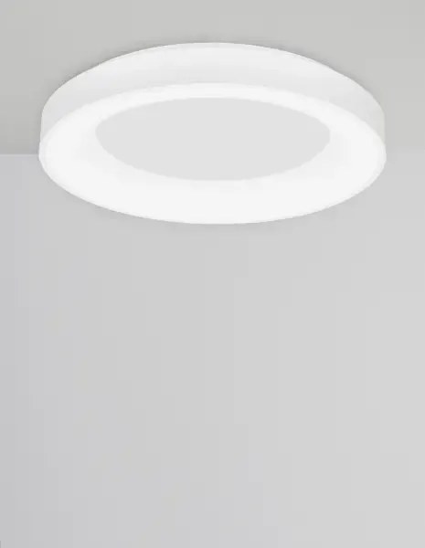 Stropné svietidlo LED so stmievaním Rando Smart 60 biele
