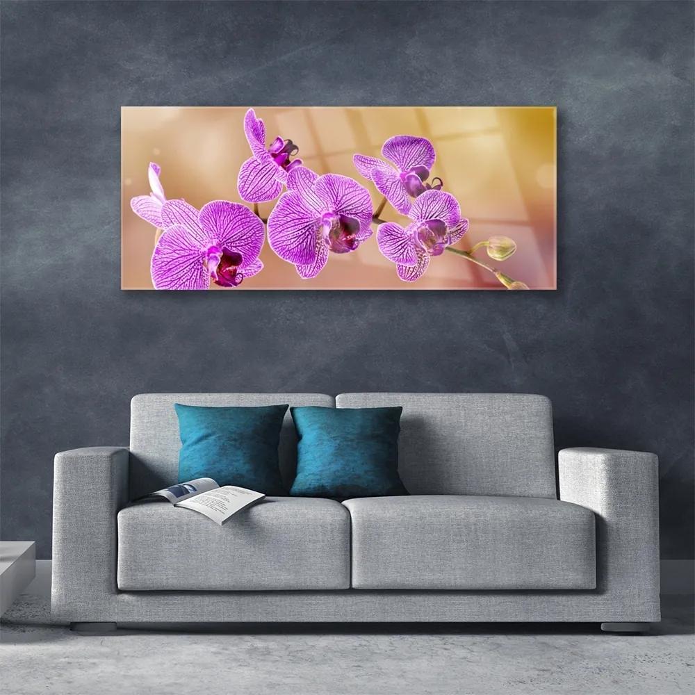 Obraz plexi Orchidea výhonky kvety príroda 125x50 cm