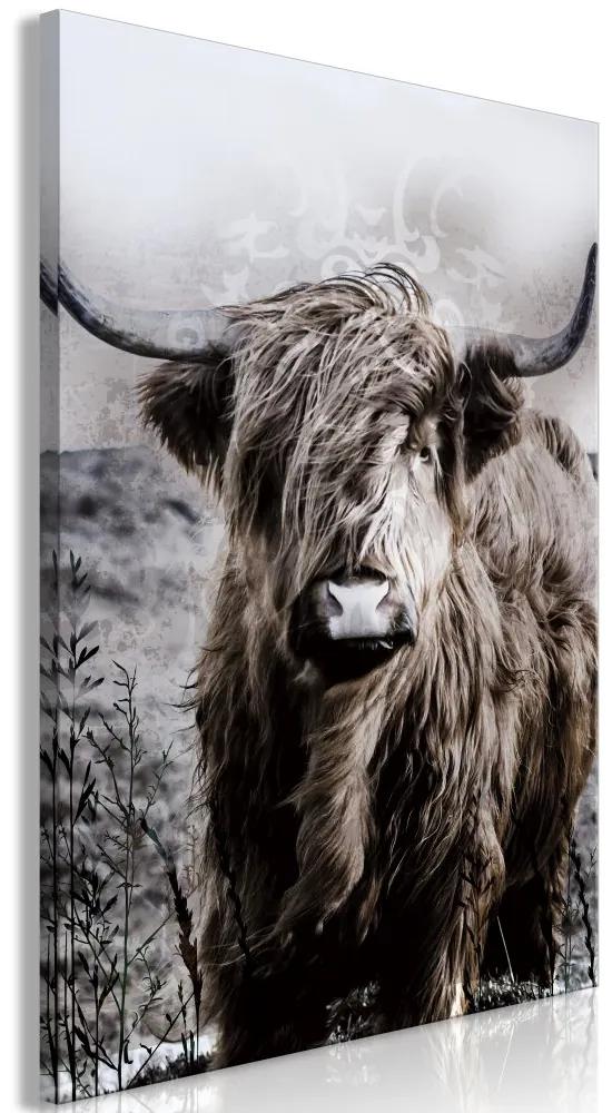Obraz - Vysokohorská krava - sépia 40x60