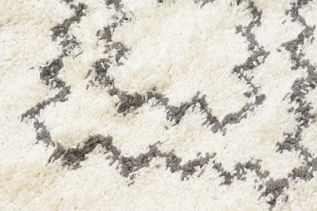PROXIMA.store - Dizajnový koberec TRAVIS - SHAGGY ROZMERY: 120x170