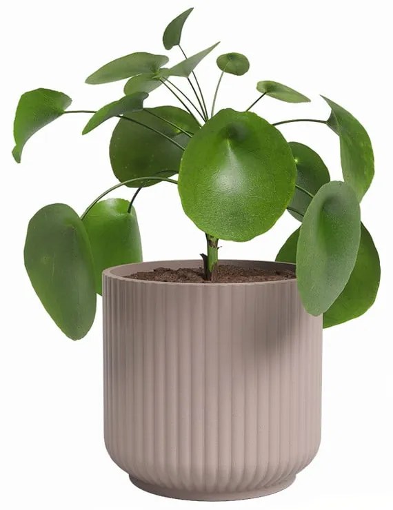 Keramický kvetináč ø 19 cm Luna – Artevasi