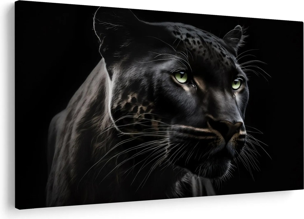Obraz - Čierny panter (90x60 cm)