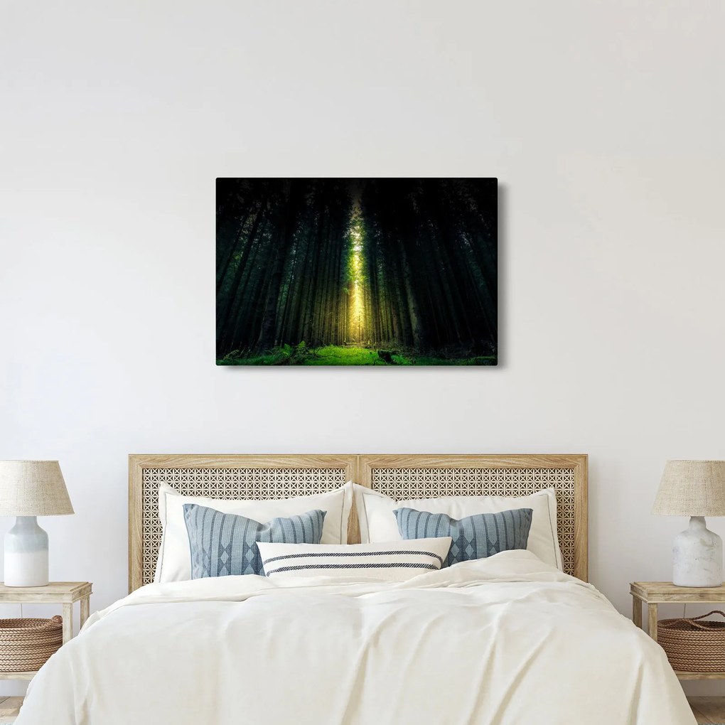 Obraz temného lesa (90x60 cm)