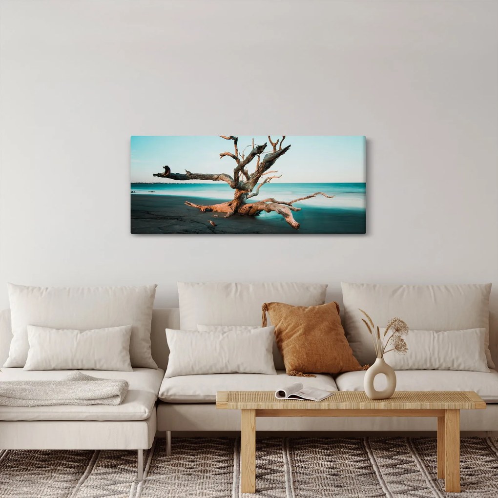 Obraz - Vyplavenie na pláži (120x50 cm)