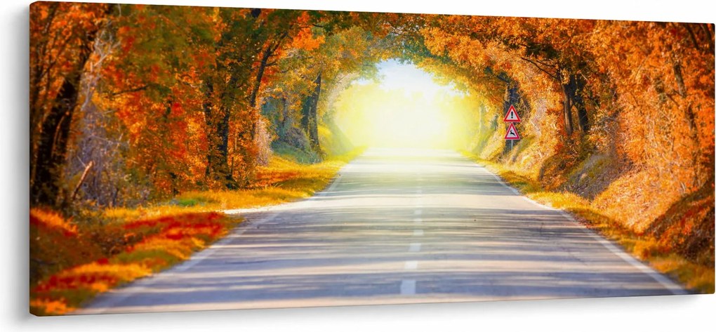 Obraz - Brána z korún stromov (120x50 cm)