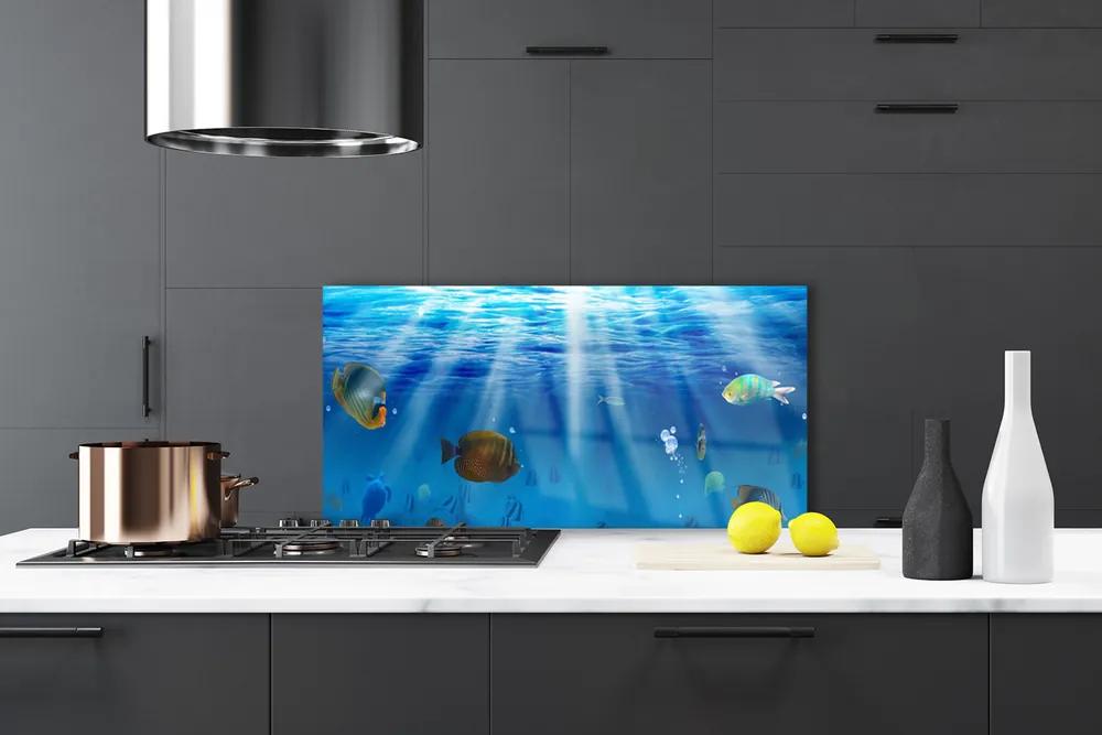 Nástenný panel  Ryba príroda 100x50 cm