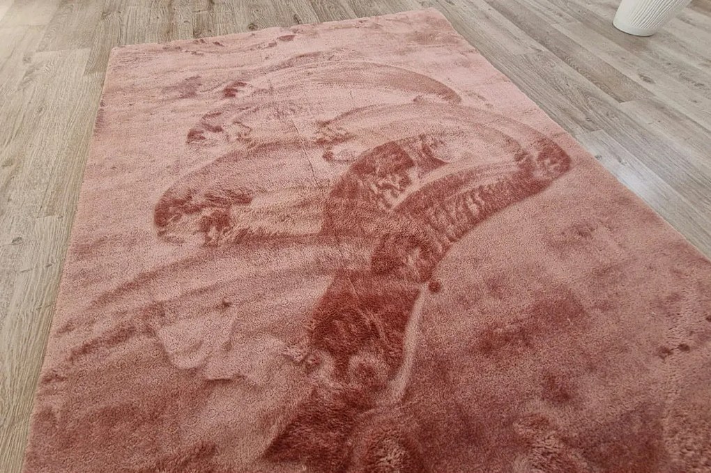 Ružový huňatý koberec Plush Deluxe – vysoký vlas 30 mm Rozmer: 60x100 cm