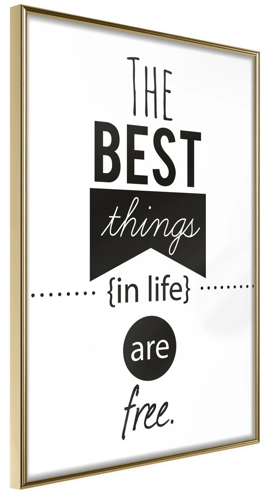 Artgeist Plagát - The Best Things in Life Are Free [Poster] Veľkosť: 40x60, Verzia: Zlatý rám