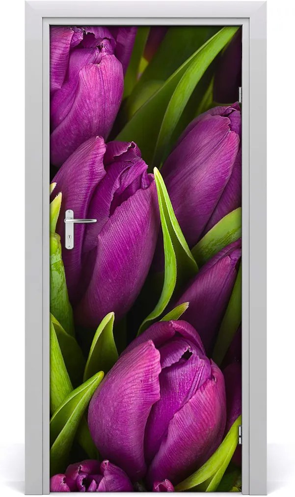 Fototapeta samolepiace  Fialové tulipány