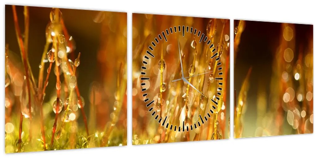 Obraz - Detail rosy (s hodinami) (90x30 cm)