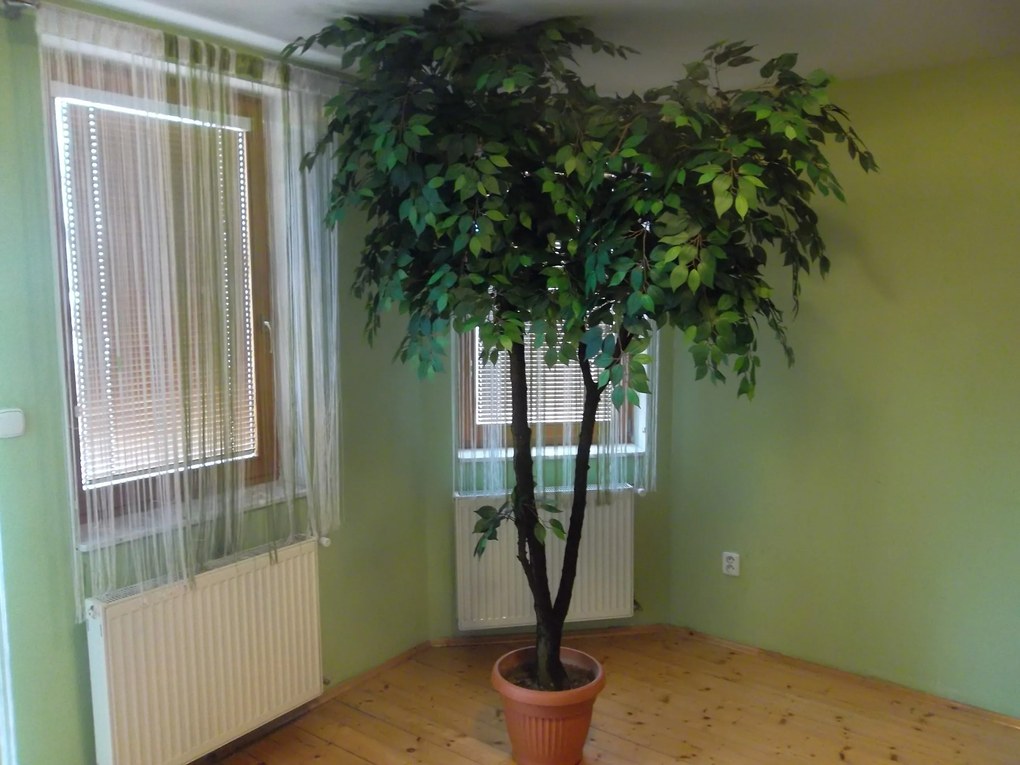 Umelý strom- Fikus gigant 250 cm