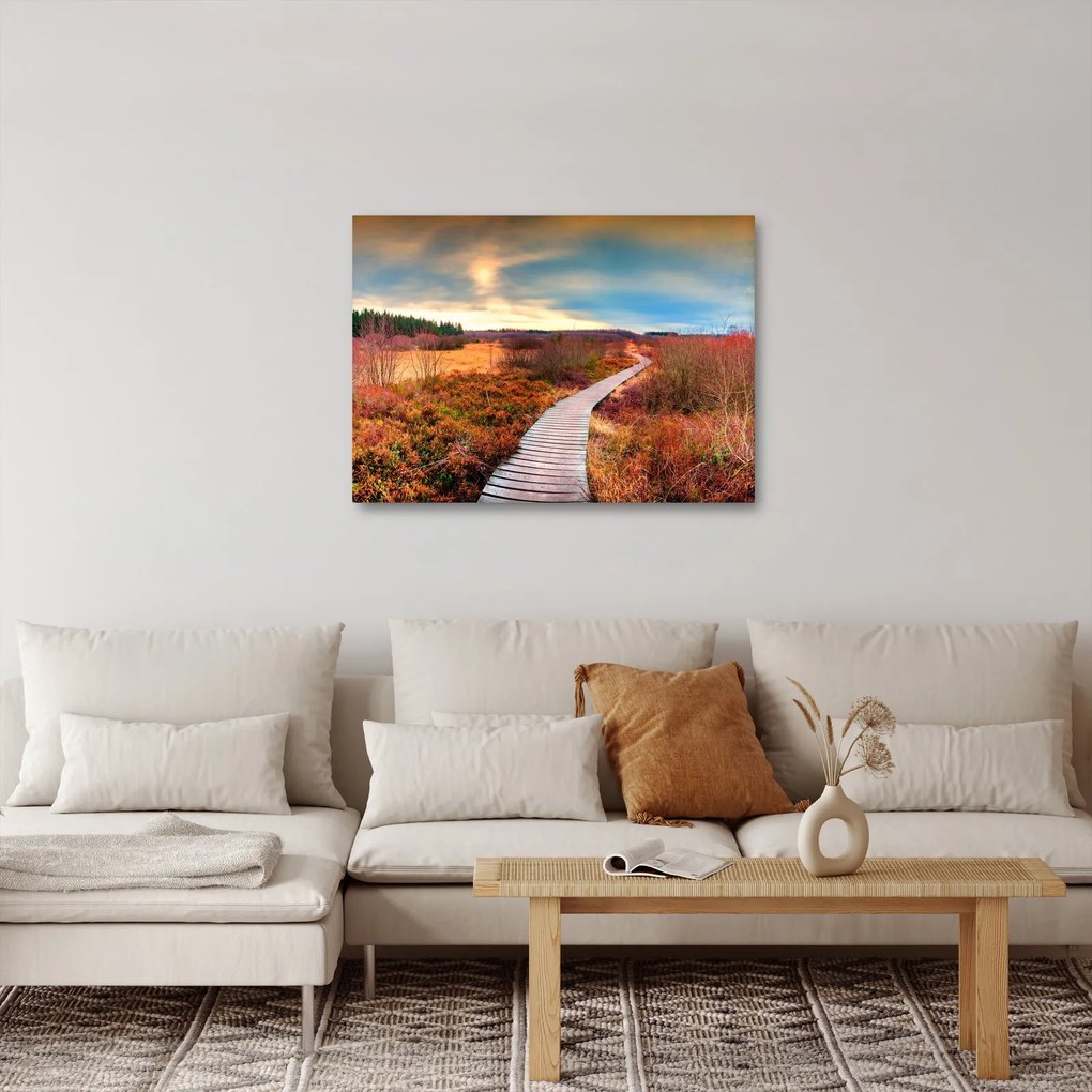 Obraz - Jesenná cesta krajinou (70x50 cm)