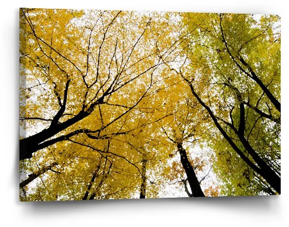 Sablio Obraz Korálový útes - 120x80 cm