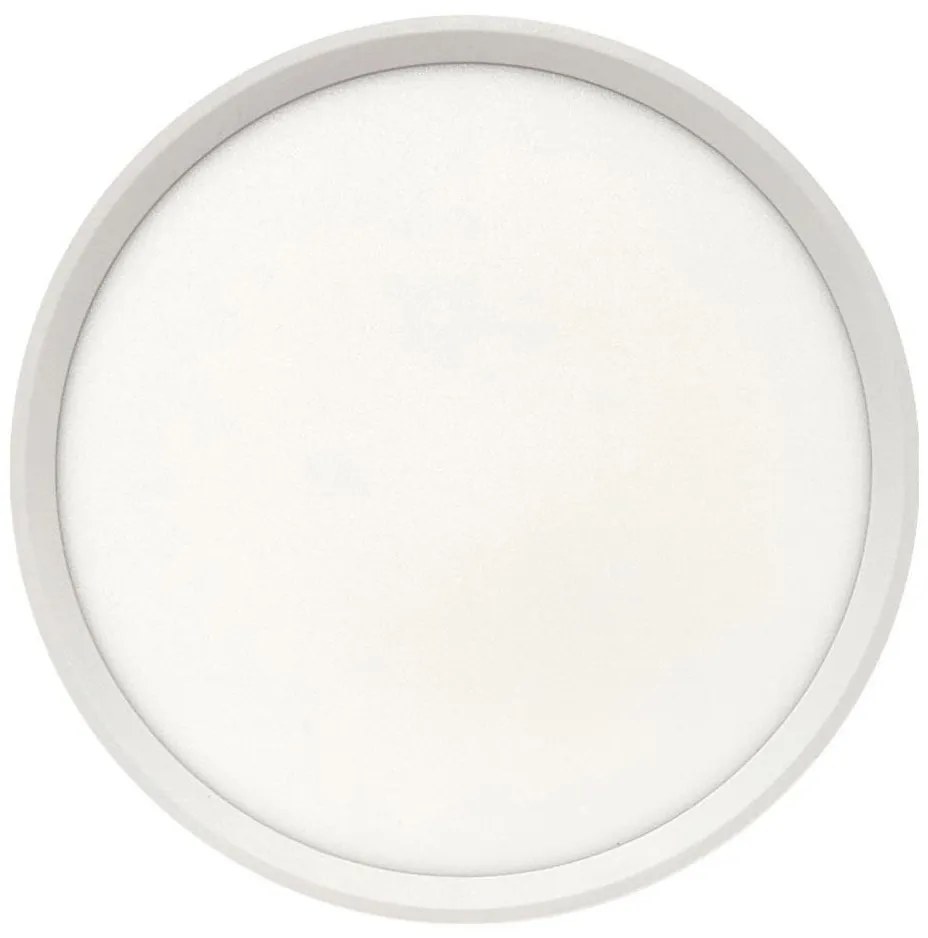 LED stropné svietidlo LED/24W/230V 3000/4000/6500K pr. 30 cm biela