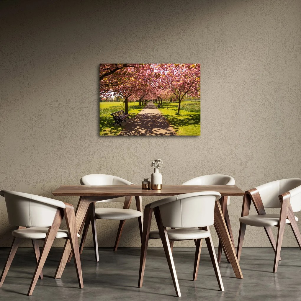 Obraz - sad čerešní (70x50 cm)