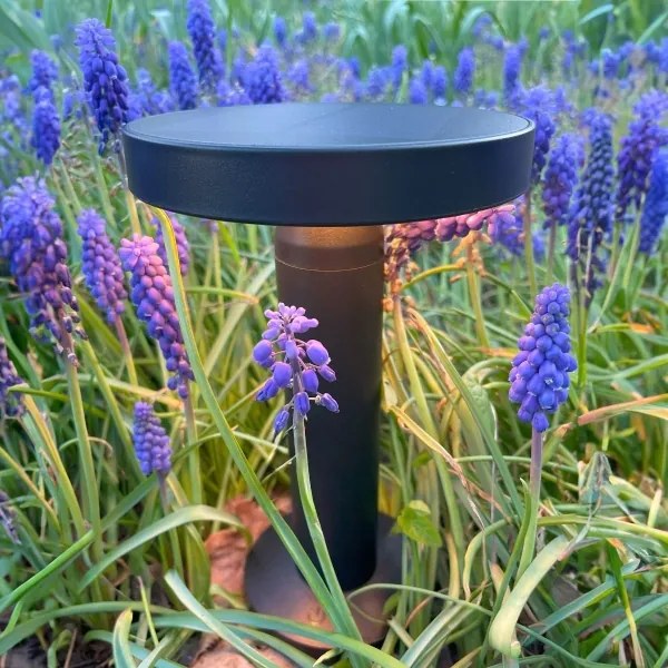 Zuma Line DT33611 - LED Solárna lampa CARLI LED/2W/2000 mAh IP44 čierna