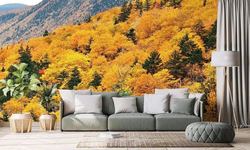 Nádherná fototapeta príroda v jesenných farbách