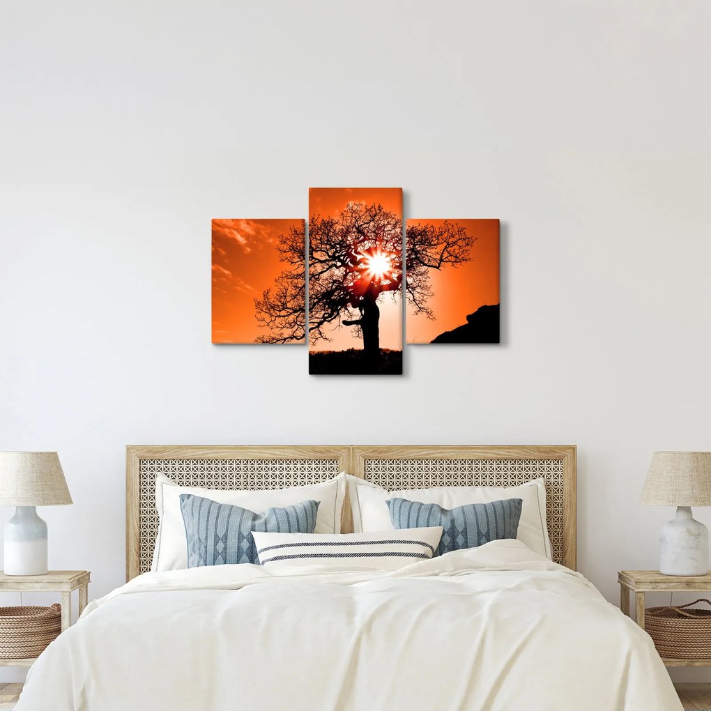 Obraz - Dub pri západe slnka (90x60 cm)