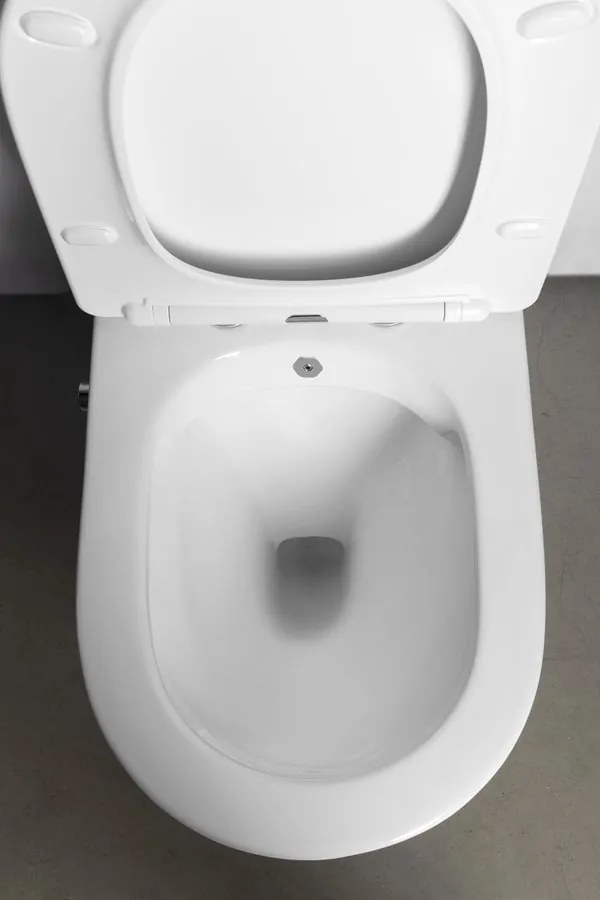 Sapho Sapho, PACO CLEANWASH WC kombi misa, integrovaná batéria a bidetová spŕška, spodný/zadný, biela, PC1012RX