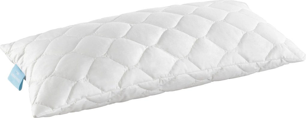 XXXLutz VANKÚŠ POD HLAVU, 40/80 cm - Prikrývky & vankúše - 003284005701