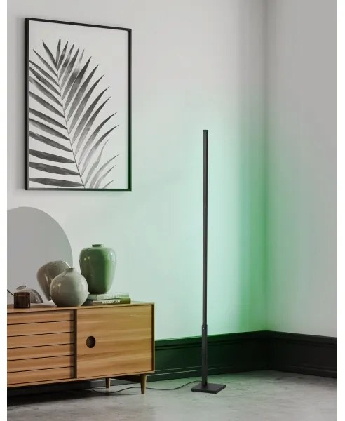 Eglo 75654 - LED RGB Stmievateľná stojacia lampa LED/13,5W/230V 2700-6500K + DO