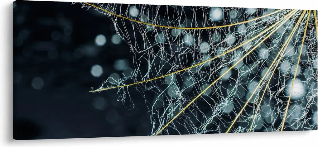 Obraz -Kvet s pavučinou (120x50 cm)