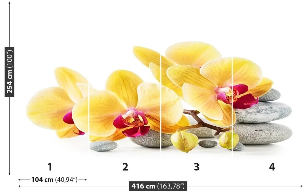 Fototapeta Vliesová Žltá orchidea 250x104 cm