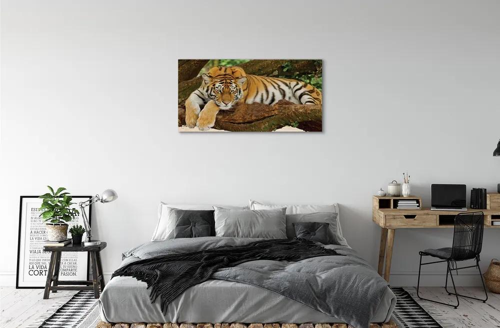 Obraz na plátne tiger tree 125x50 cm