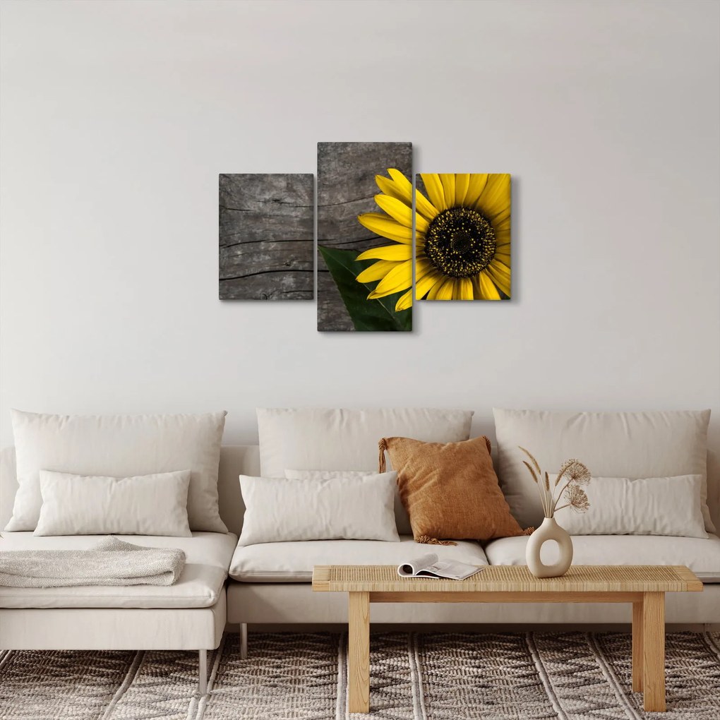Obraz - Kvet slnečnice (90x60 cm)
